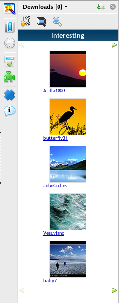 Flickrfox