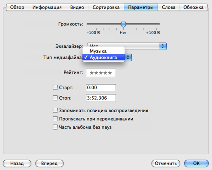 вкладка Параметры в iTunes