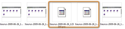 tiaurus-2009-06-26_123530