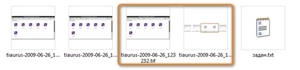 tiaurus-2009-06-26_123711