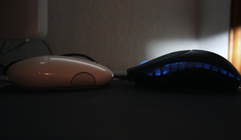 mice.jpg