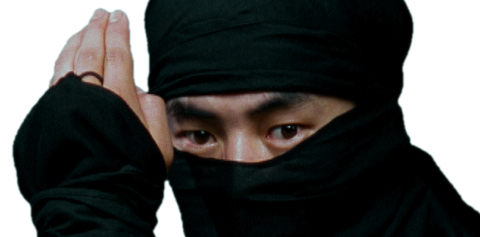ninja_face.jpg