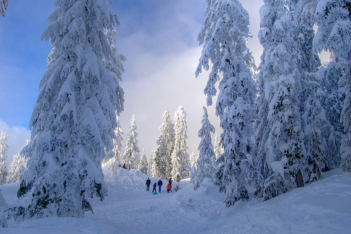 snow