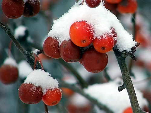 дайджест_03.02.2012