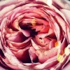 7 приложений для редактирования фото. Использовать перед загрузкой в Instagram!