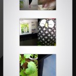 Одним тапом двух зайцев или Как сделать двустороннее фото на iPhone