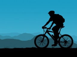 shutterstock_28775341