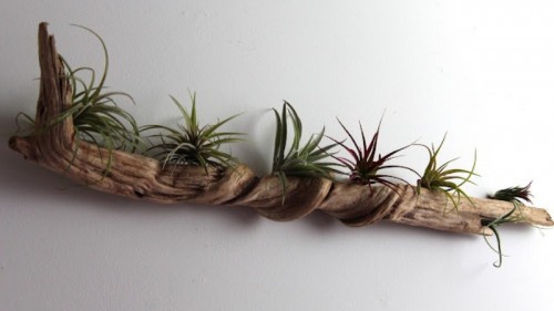 cool-driftwood-crafts-for-home-decor3