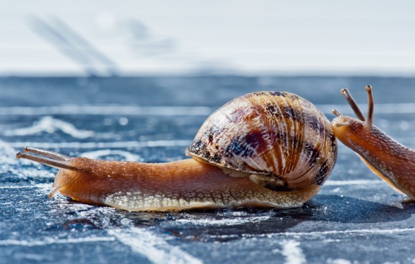 pixinoo/Shutterstock.com