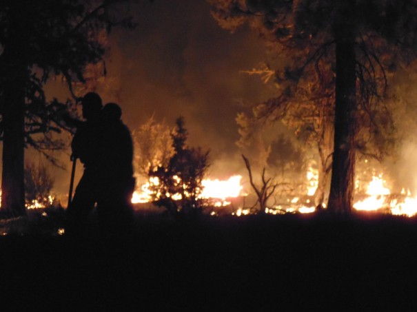 Лесной пожар