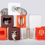 Домики Kitty Kasa для кошачьего счастья