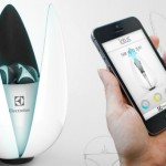 Священный цветок очищает воздух