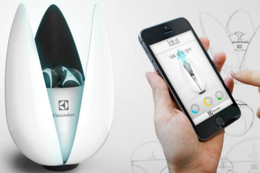 Священный цветок очищает воздух