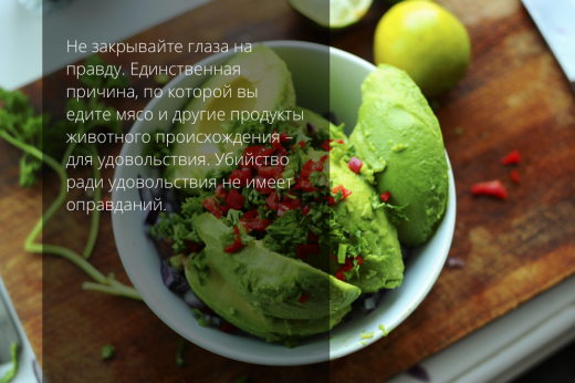 вегетарианство гуакамоле