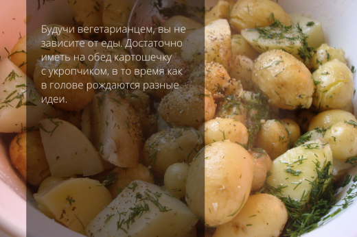 вегетарианство картофель зелень