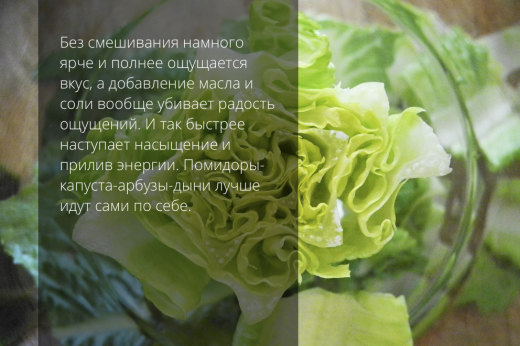 вегетарианство капуста