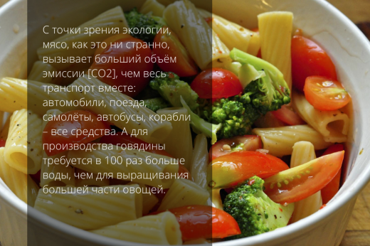 вегетарианство макароны с овощами