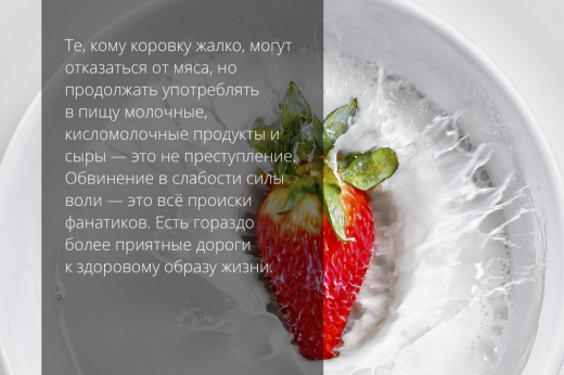 вегетарианство молоко
