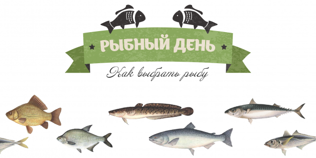 ИНФОГРАФИКА: Как выбрать рыбу