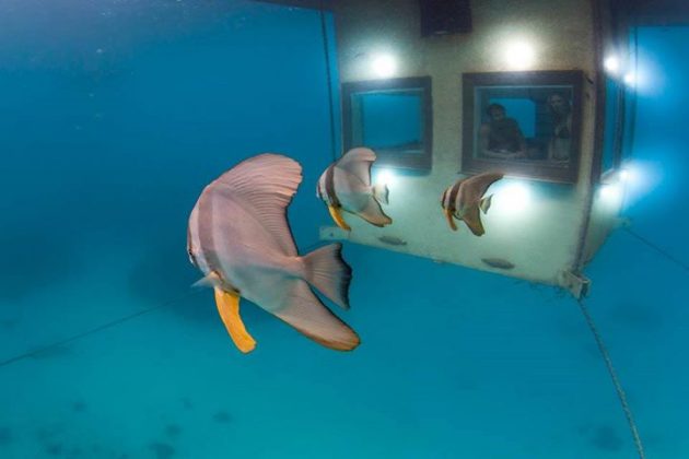 ��������� ������� ����� The Manta Resort