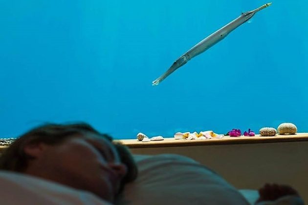 ��������� ������� ����� The Manta Resort