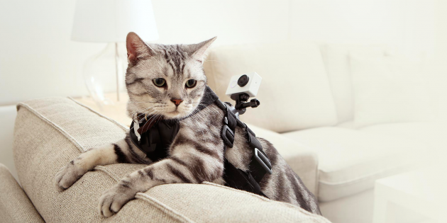 Xiaomi Yi Camera и другие экшн-камеры, которые могут стать удачной альтернативой GoPro