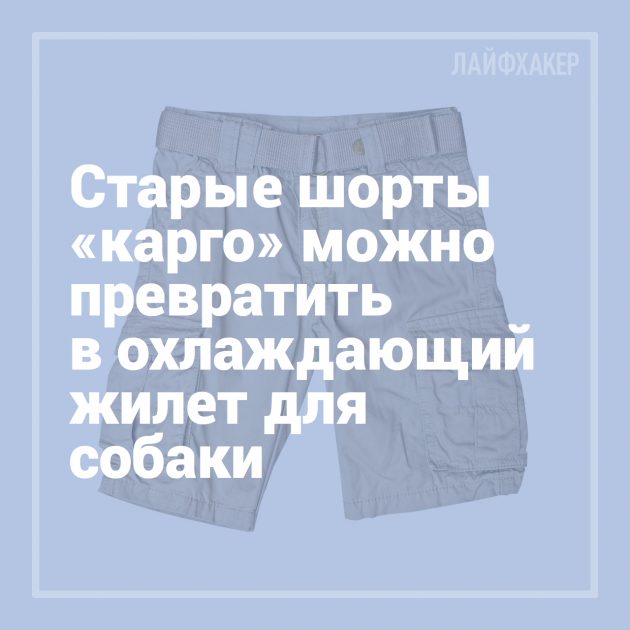 16 лайфхаков для владельцев собак