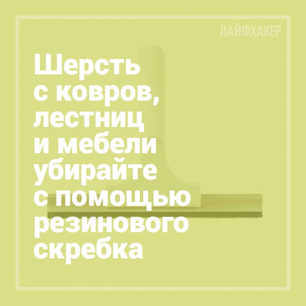 16 лайфхаков для владельцев собак