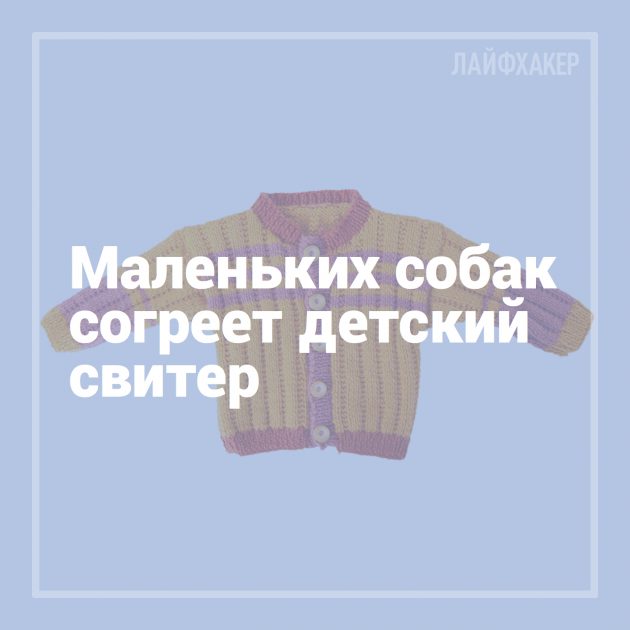 16 лайфхаков для владельцев собак
