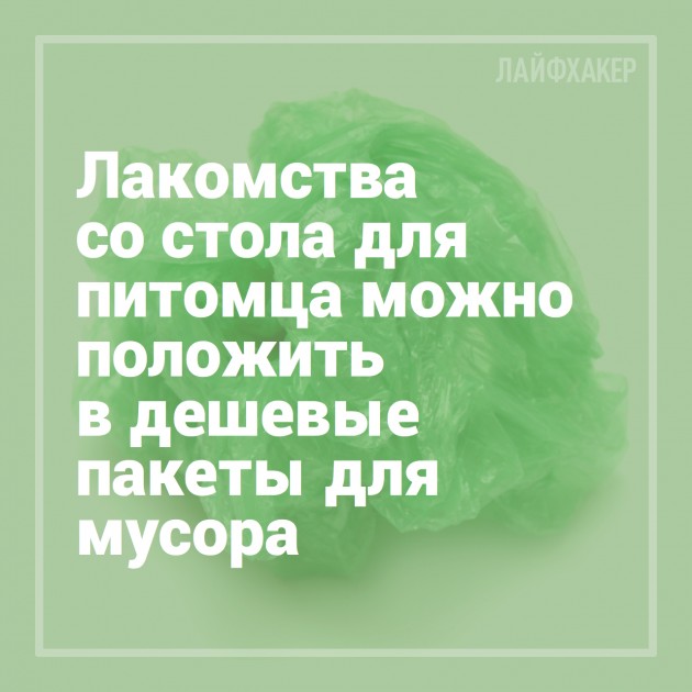 16 лайфхаков для владельцев собак