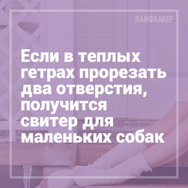 16 лайфхаков для владельцев собак