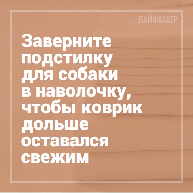 16 лайфхаков для владельцев собак