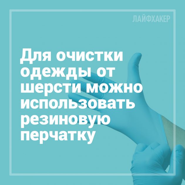 16 лайфхаков для владельцев собак