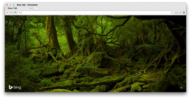 Bing: daily wallpaper Chrome