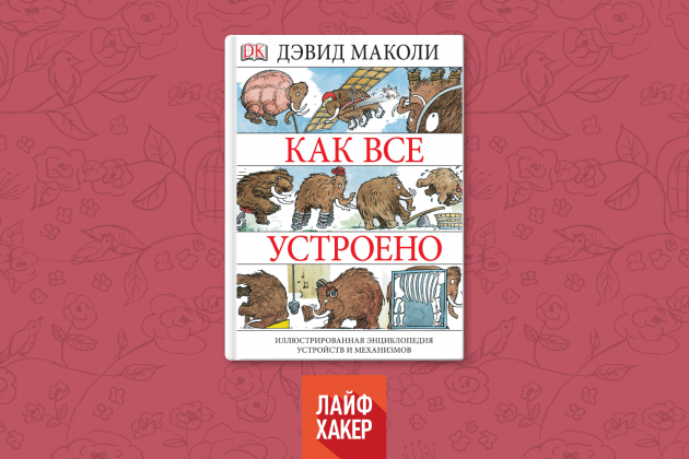 Как все устроено