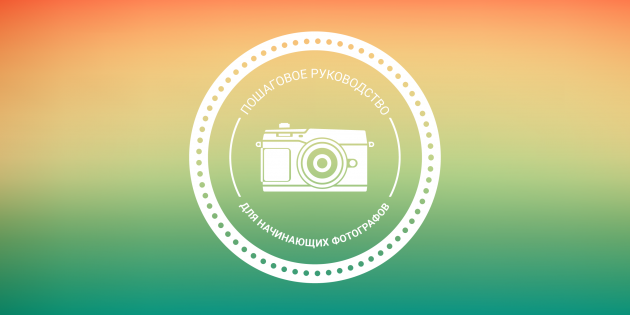 igorrita/Shutterstock.com