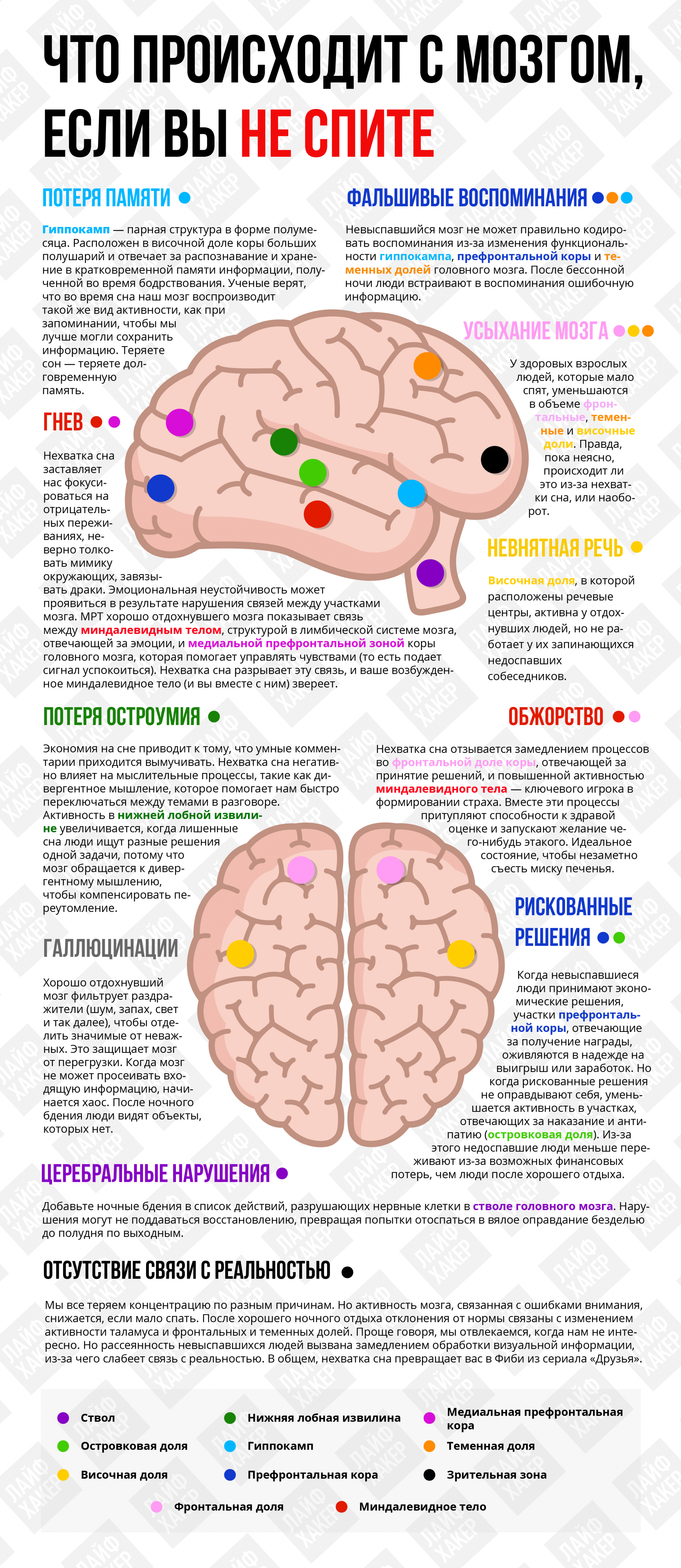 ИНФОГРАФИКА: Как отсутствие сна влияет на мозг