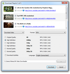 4K Video Downloader