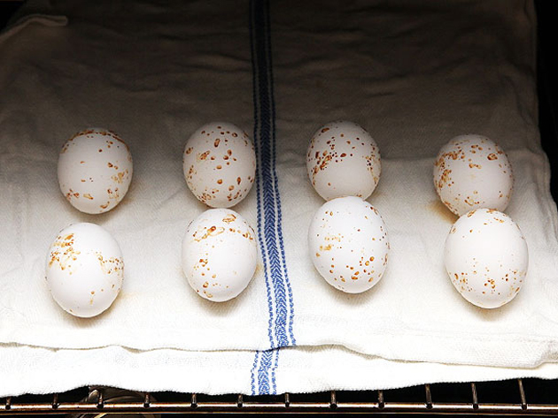 20140430-peeling-eggs-18_1461566018.jpg