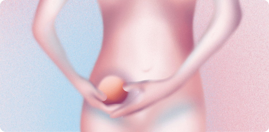 К концу 1-го триместра беременности матка размером с грейпфрут