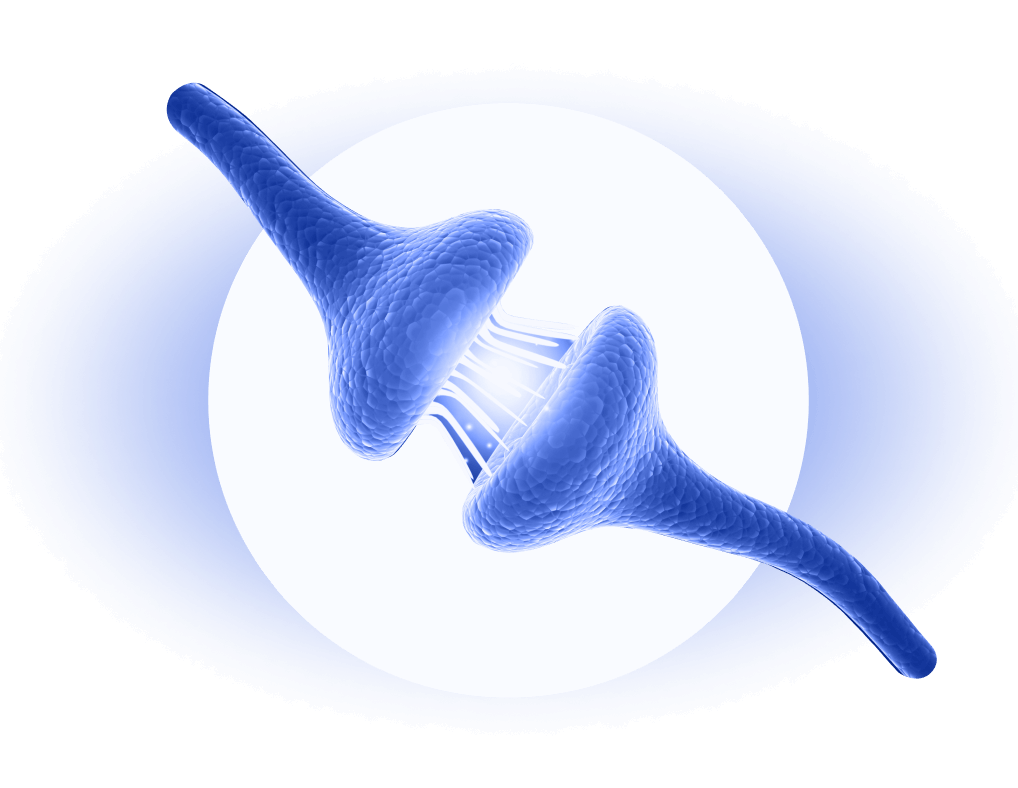 Мозг человека: строение, функции и способы сохранить его здоровье