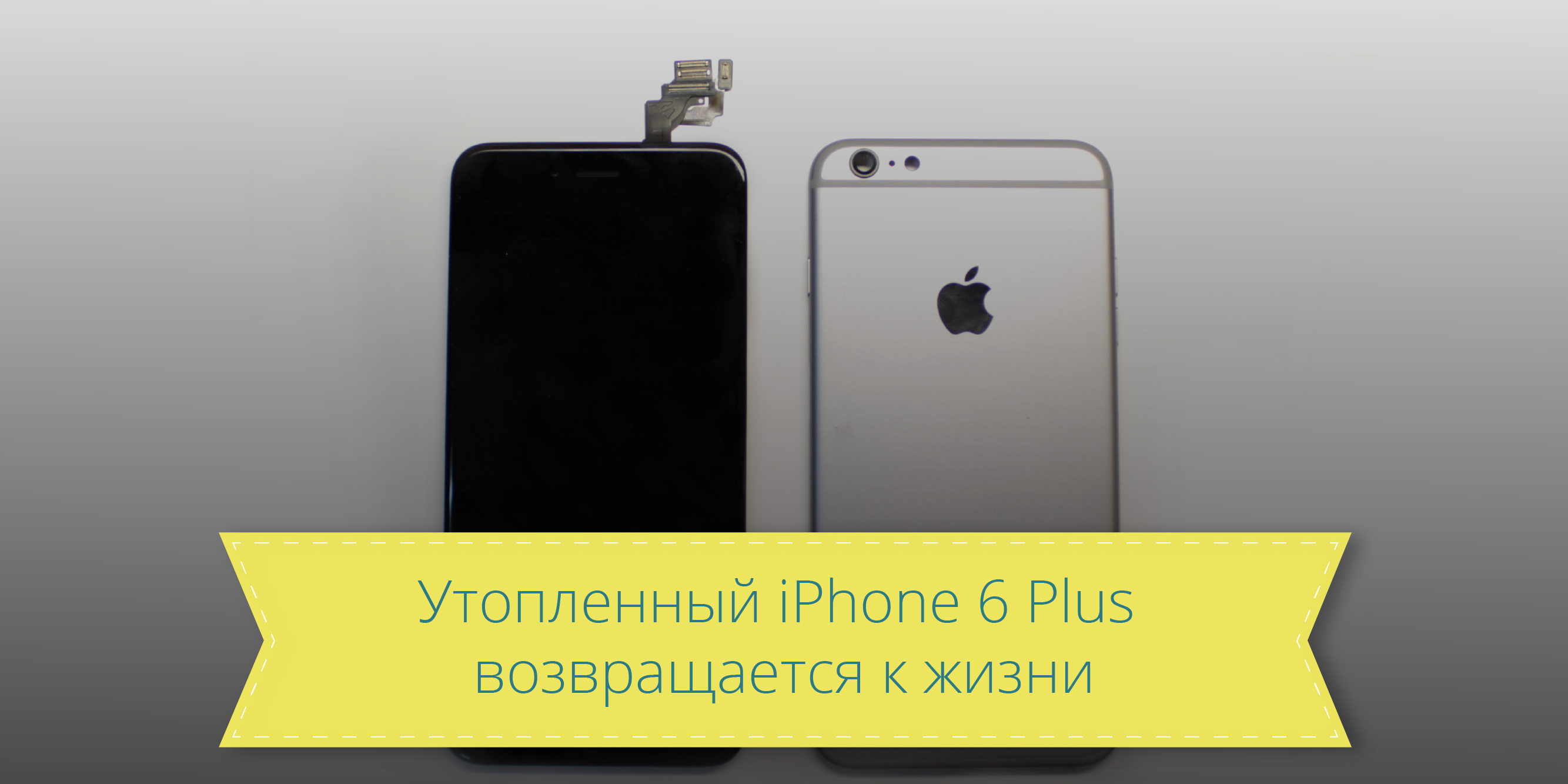 Как починить залитый iPhone 6 Plus: инструкция от сервисного центра —  Лайфхакер