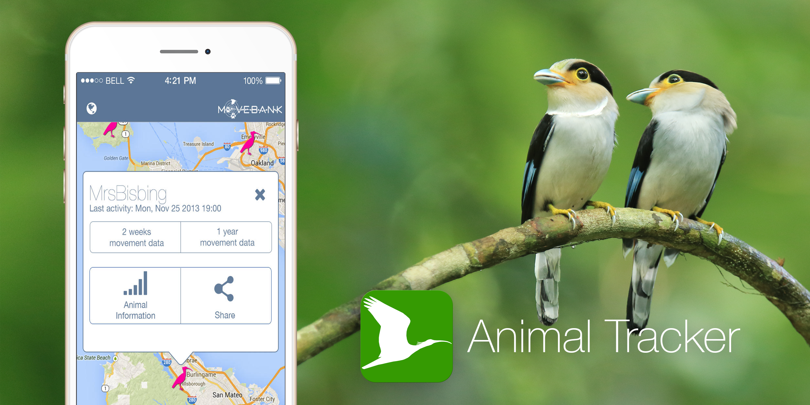 Animal Tracker — приложение, которое в будущем сможет заменить зоопарки -  Лайфхакер