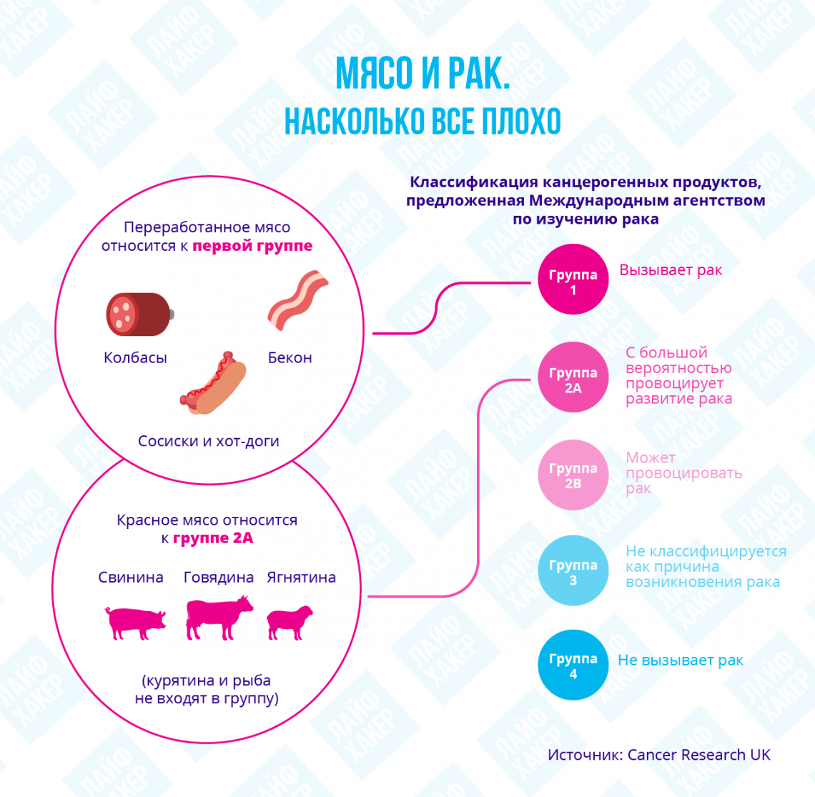 Причины рака: употребление красного мяса
