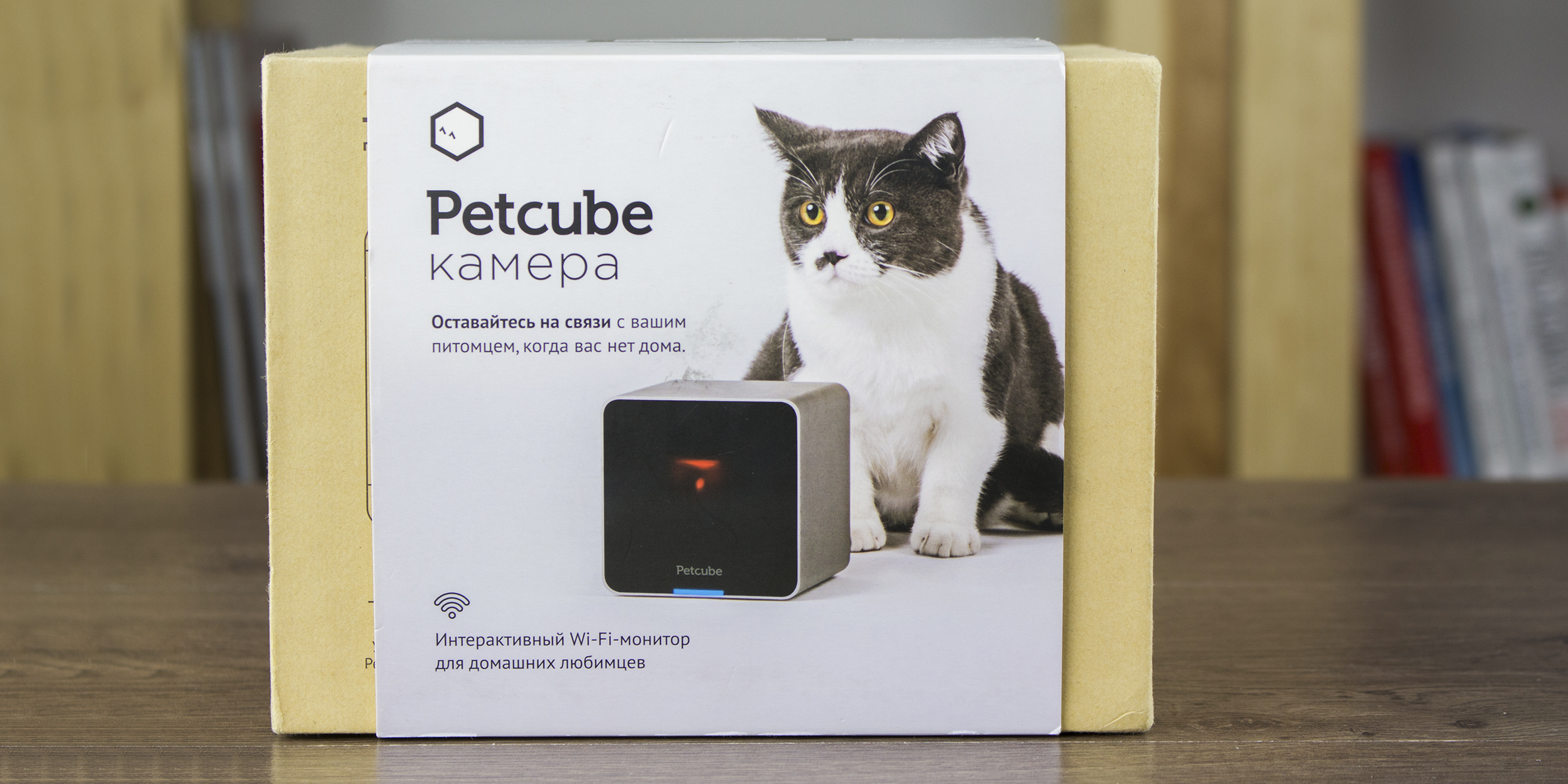 ОБЗОР: Petcube — гаджет для любимых питомцев — Лайфхакер