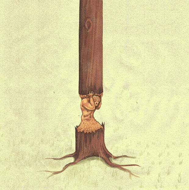  вырубка лесов