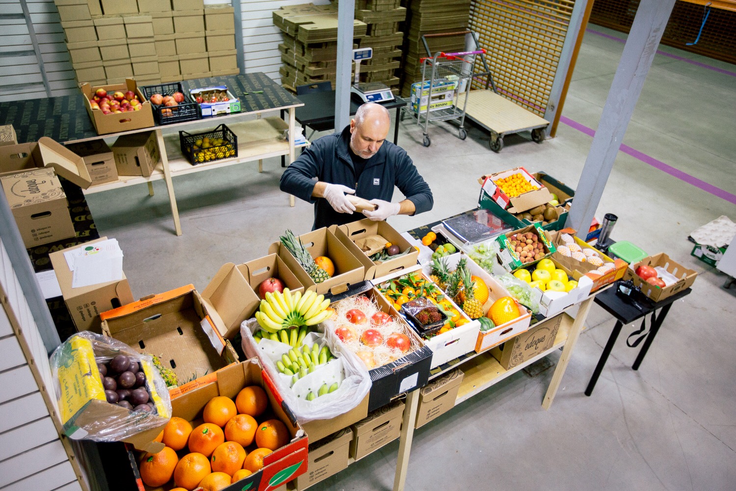Доставка плодовых. Овощной бизнес. Бизнес на овощах. Бизнес овощи фрукты. Овощной бизнес с нуля.