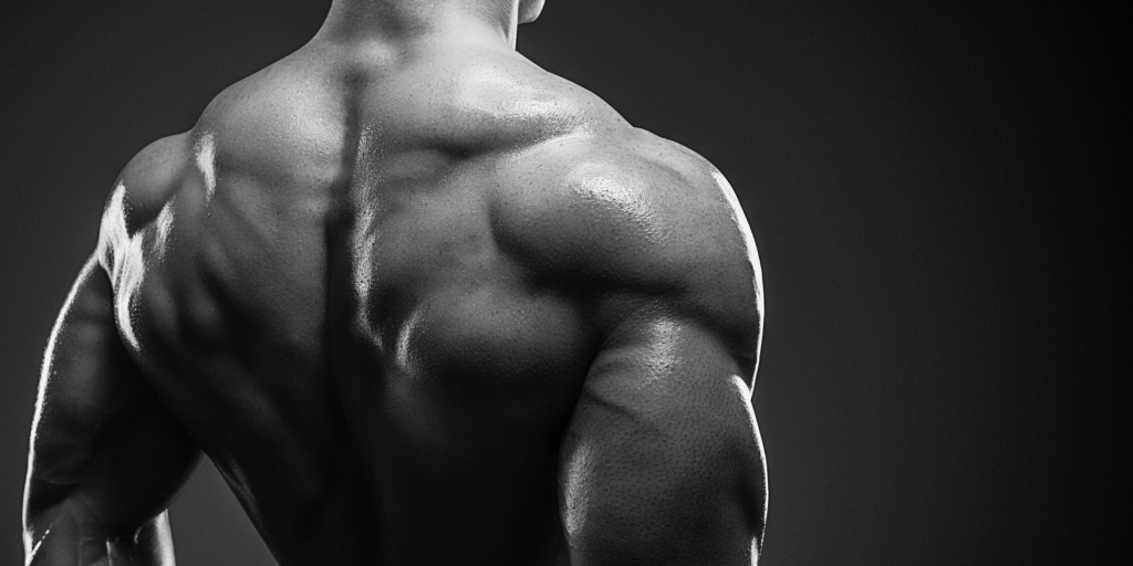 Что заставляет наши мышцы расти Что заставляет наши мышцы расти