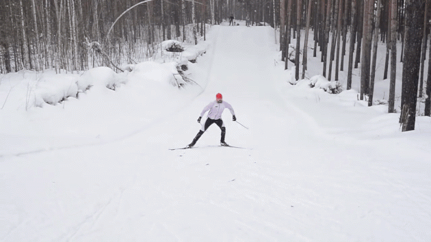 Как выбрать лыжи для конькового хода