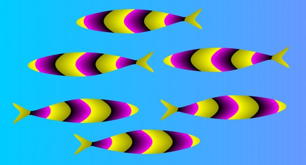 оптические иллюзии: рыбки